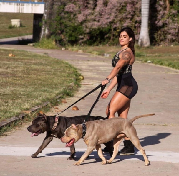 Mídia 3